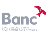 Banc Datblygu Cymru / Development Bank of Wales